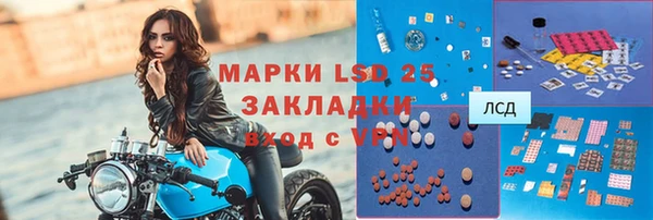 индика Алексин