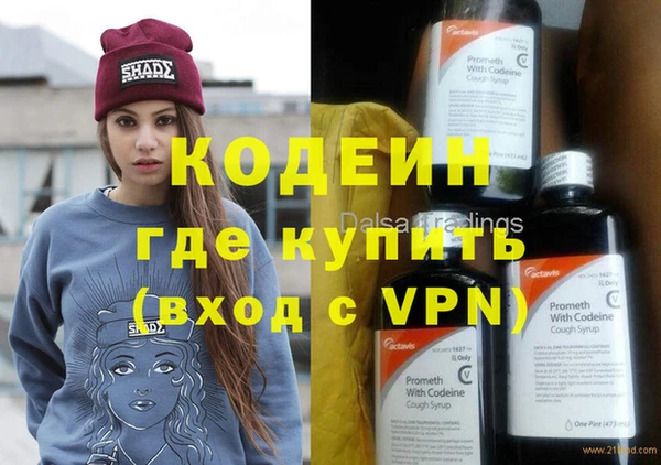 индика Алексин