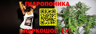 шишки Вязьма