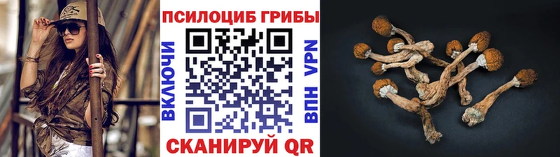 Галлюциногенные грибы прущие грибы  Дальнереченск 
