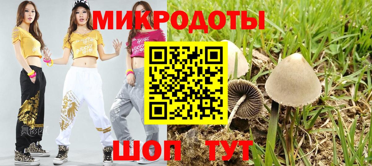 Псилоцибиновые грибы мухоморы Дальнереченск